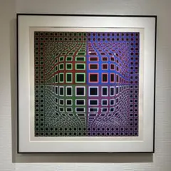 VASARELY、リンクス、希少画集画、新品額装付 全ての VASARELY、リンクス、希少画集画、新品額装付 絵画 - 絵画
