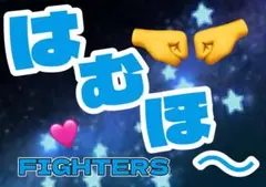 日本ハムファイターズ　応援ボード