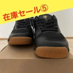 DESCENTE STELLA DIVA LO4 バレーボールシューズ