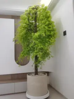 ウィローモミジ プランターボックス 大