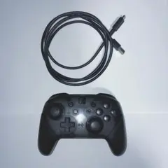 Switch 純正プロコン