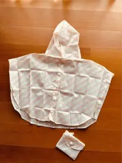 Item thumbnail for item 72cba561-0a46-47ed-bad5-9d0da4aff1a3