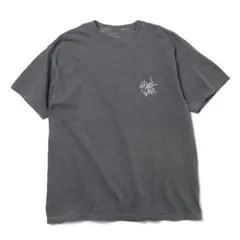 ESSAY SHOCK WAVE TEE エッセイ Tシャツ