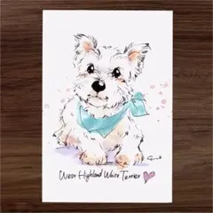 イラスト 原画 ポストカード 絵 【ウエストハイランドホワイトテリア】99