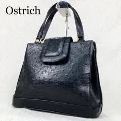 【美品】GENUINE OSTRICH オーストリッチ レザーハンドバッグ