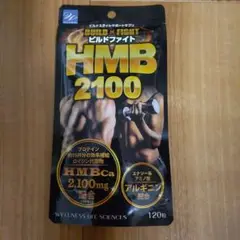 ビルドファイト HMB2100 120粒