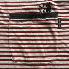 Item thumbnail for item bb14b027-219b-4e77-bd00-67d09ac37ac5