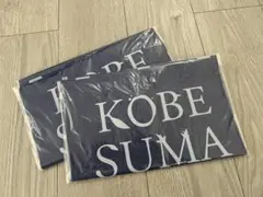 Item thumbnail for item 87a442fb-a22a-446c-bf8f-99825bbdfed6