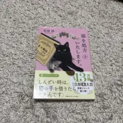 猫を処方いたします。2