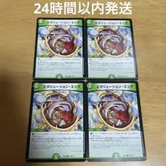 エボリューションエッグ 4枚セット