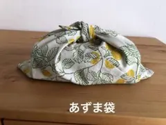 141.あずま袋　点と線
