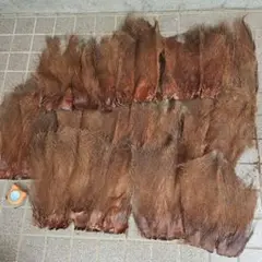 Item thumbnail for item 2c53837c-c3a9-4a76-8ea6-e35920aca84b