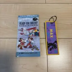 ⭐️美品⭐️ドリームステイクフライト マックス フライトタグ ディズニーシー