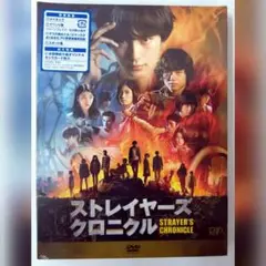 新品未開封品 ストレイヤーズ・クロニクル DVD