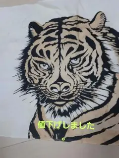 Item thumbnail for item e2c5e470-7de4-455e-8fcc-a6e3d55e0d1e