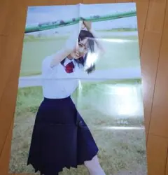 日向坂46 小坂菜緒 月刊ENTAME 特典B2ポスター
