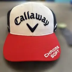 Item thumbnail for item 531d00d8-e917-4c60-aa65-baa0b334a3b9