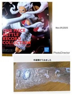 Item thumbnail for item fe95ef67-b0b1-45dc-9c0e-9994632709e4