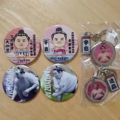 大相撲　缶バッジくじ　関取全員集合　ダブルチャームメタルキーホルダー　おまけ付き