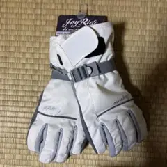 スキーグローブ