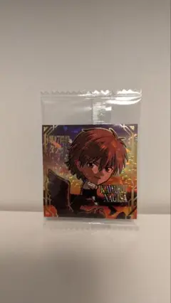 新世紀エヴァンゲリオン シールウエハース 渚カヲル タブリス SEC