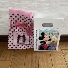 ディズニーリゾート　空き箱　空箱　ミッキー&ミニー　プレゼント袋　送料込　匿名