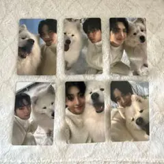 TWS Last Bell weverse　ラキドロ　サモエド　トレカ　コンプ