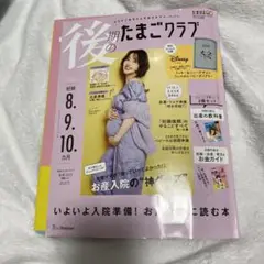 Item thumbnail for item e0ec87c9-129c-4ece-b064-6551e9d6e19e