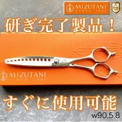 2025年最新】ミズタニシザー アクロの人気アイテム - メルカリ