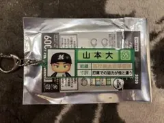 千葉ロッテマリーンズ　山本大斗