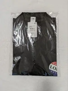 Item thumbnail for item a6db581c-4c66-42d8-93e0-48eb1b704ffb