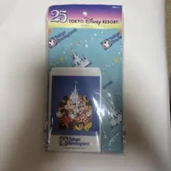 東京ディズニーリゾート 封筒セット