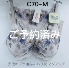 C70 -M トリンプ 天使のブラ 魔法のハリ感 マグノリア ブラ＆ショーツ
