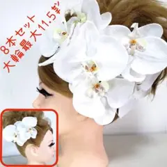 Item thumbnail for item 1862a5a0-01a7-446f-823c-829eb9b3770a