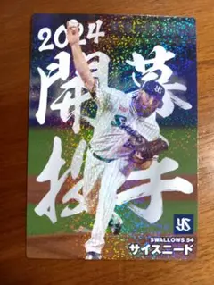 2025年最新】サイスニードの人気アイテム - メルカリ