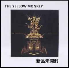 2025年最新】yellow monkey アナログの人気アイテム - メルカリ