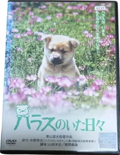 ハラスのいた日々