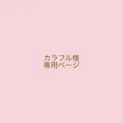 ✴︎カラフル様　専用ページ✴︎