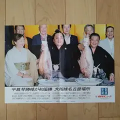 琴勝峰初優勝　産経写真ニュース