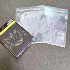 一番くじ Pokémon メガシンカ G賞 H賞