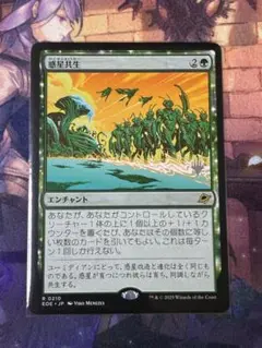 MTG 惑星共生 プロモ