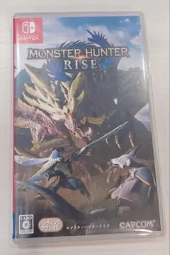MONSTER HUNTERRISE モンハン　Switch ソフト