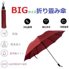 折りたたみ傘 晴雨兼用 ビッグ 撥水 耐風 遮光 三つ折り 傘骨10 紫外線