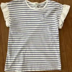 ストライプ フリル Tシャツ　組曲