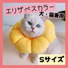 Item thumbnail for item 91e440b3-2513-4855-8740-a359c4518f5e