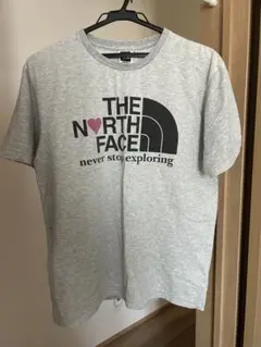 THE NORTH FACE TEK TEE M グレー Tシャツ
