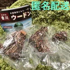 香川　ご当地怪獣 立体図鑑 その1 ウードン　ブロンズ　ガチャ