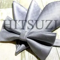 Item thumbnail for item 7325f3a4-2ff0-43a3-b0ce-fe30c6bda7d4