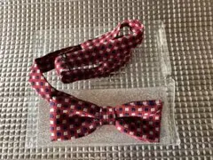 Item thumbnail for item 1afd4599-a771-4eec-afad-95120d3fb8e4