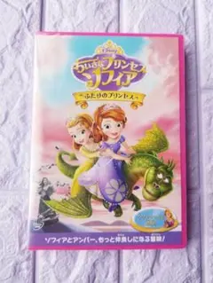 貴重品　ディズニー　プリンセスBOX 2012 ちいさなプリンセス ソフィア 貴重品ディズニープリンセスBOX 2012 ちいさなプリンセス ソフィア